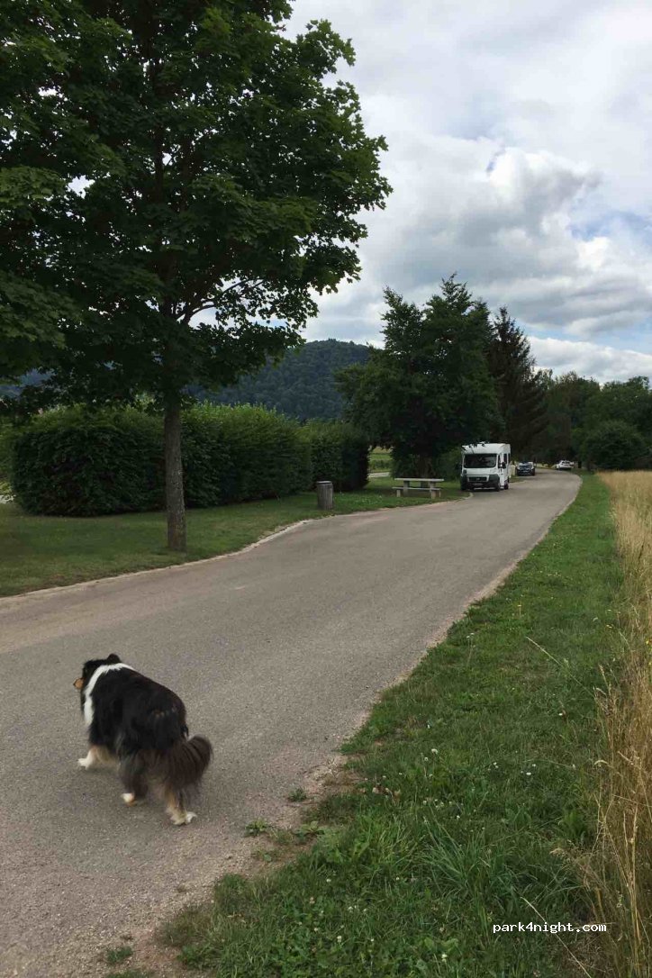 (68230) Wihr-au-Val - Rue de Gunsbach — foto 3