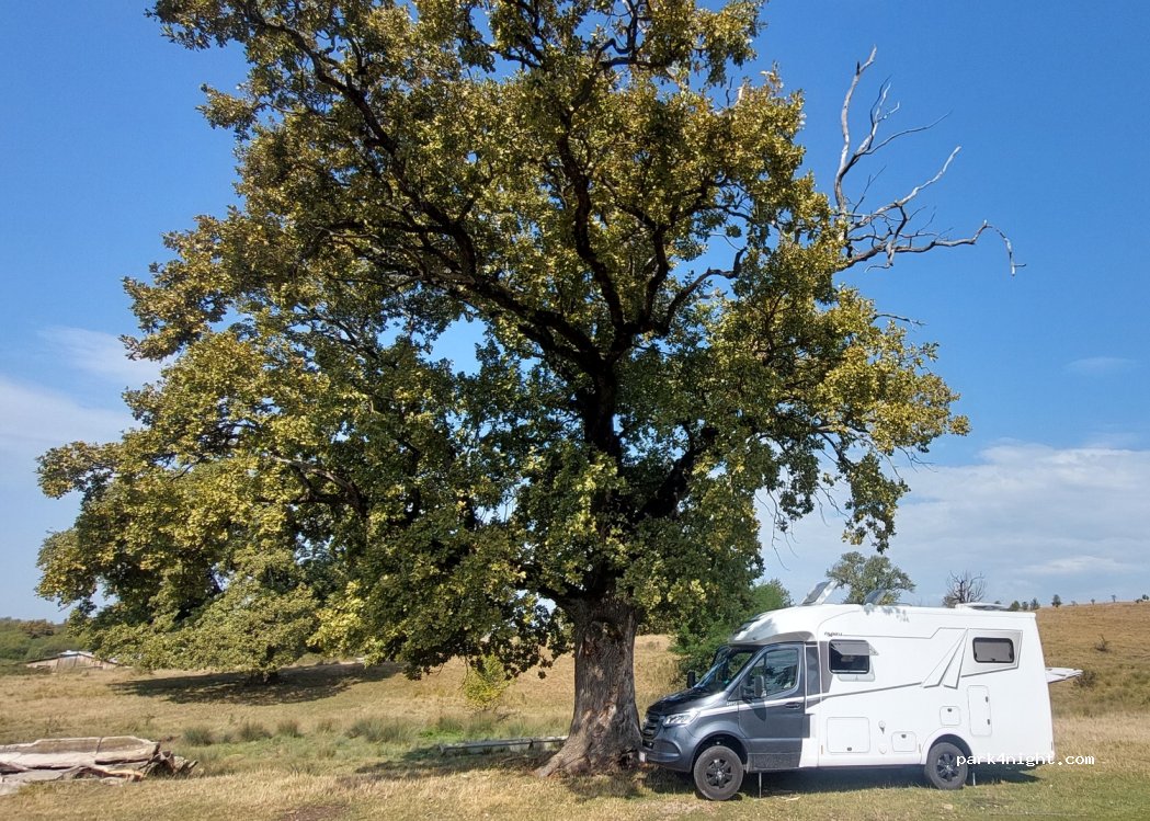 (427190) Nimigea de Jos - — foto