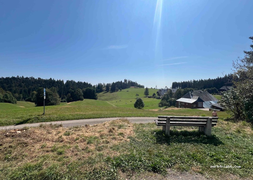 (79875) Dachsberg (Südschwarzwald) - 1 Rüttewies — foto 2
