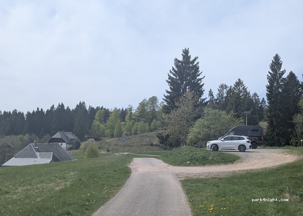 (79875) Dachsberg (Südschwarzwald) - 1 Rüttewies — foto 5