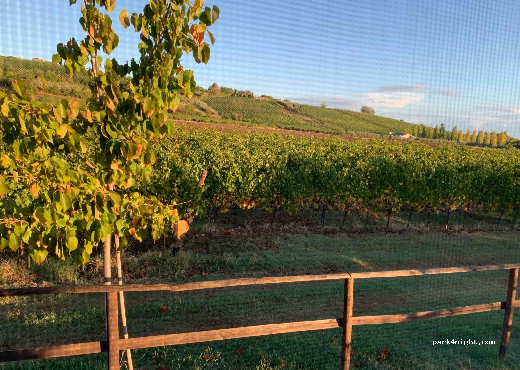Podere Vecciano — foto 2