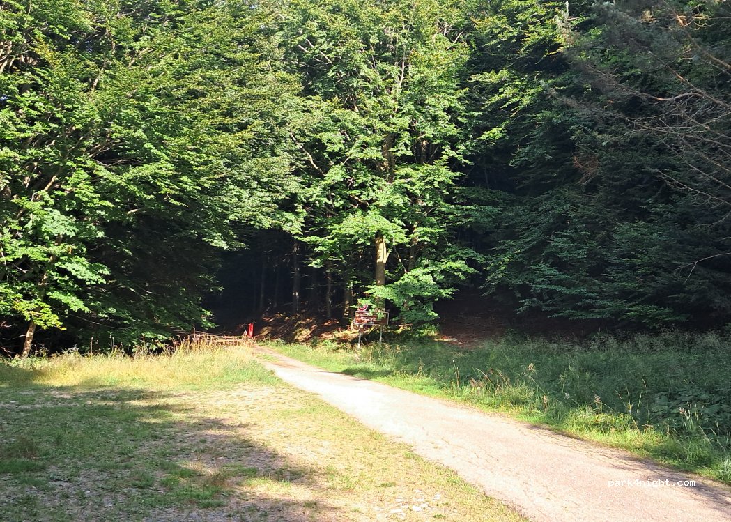 (67530) Ottrott - — foto 2