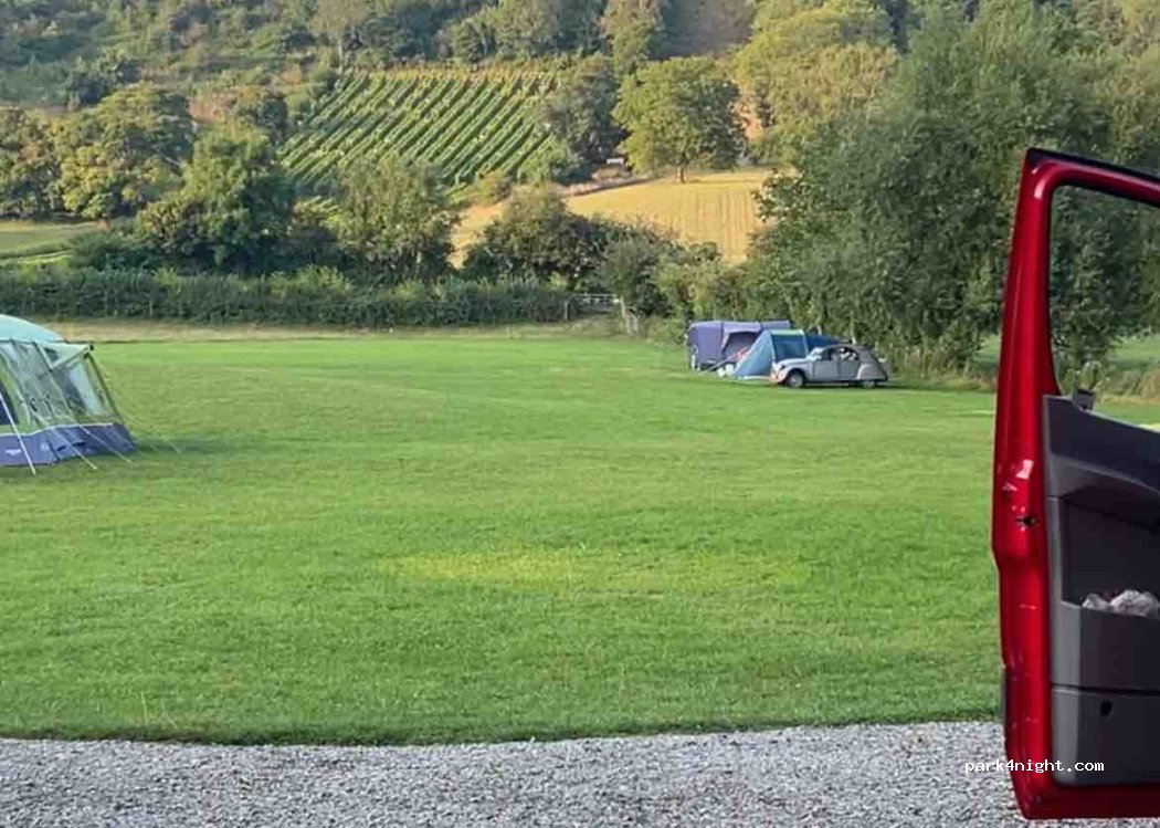 Pine Tree Farm Camping & Caravan Park — foto 2