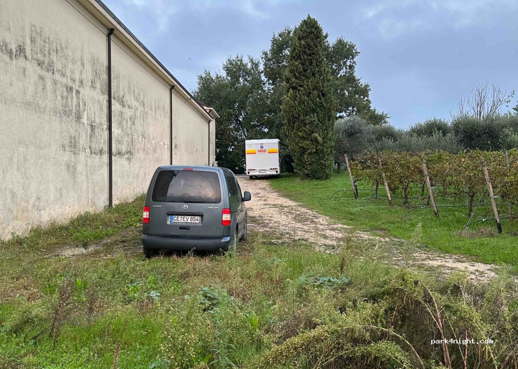 (37017) Lazise - 4c Via Albaron — foto 5