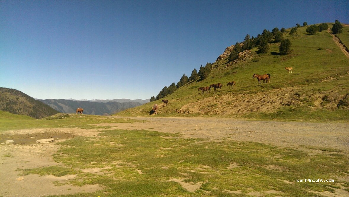 (AD400) La Massana - CG-4 — foto