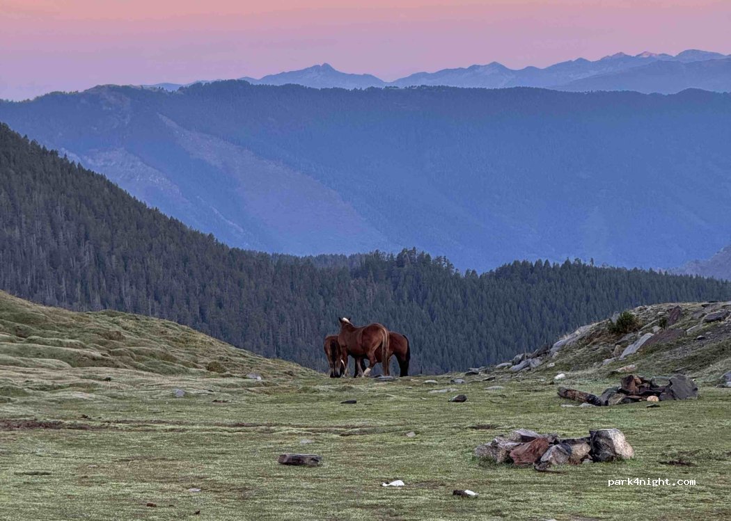 (AD400) La Massana - CG-4 — foto 5