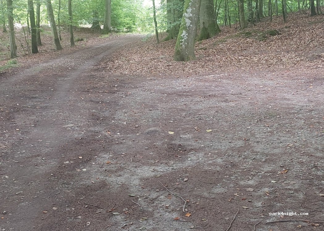 (275 64) Sjöbo - Snogeholmsvägen — foto 3