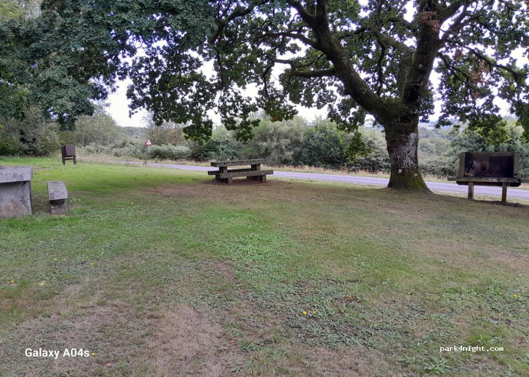 (15379) Curtis - 40 Lugar Illana — foto