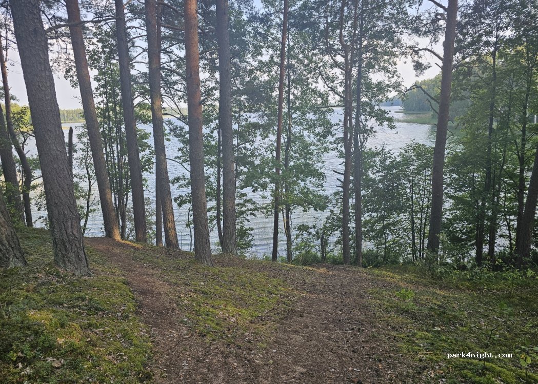 (5655) Suhocki - Unnamed Road — foto 2