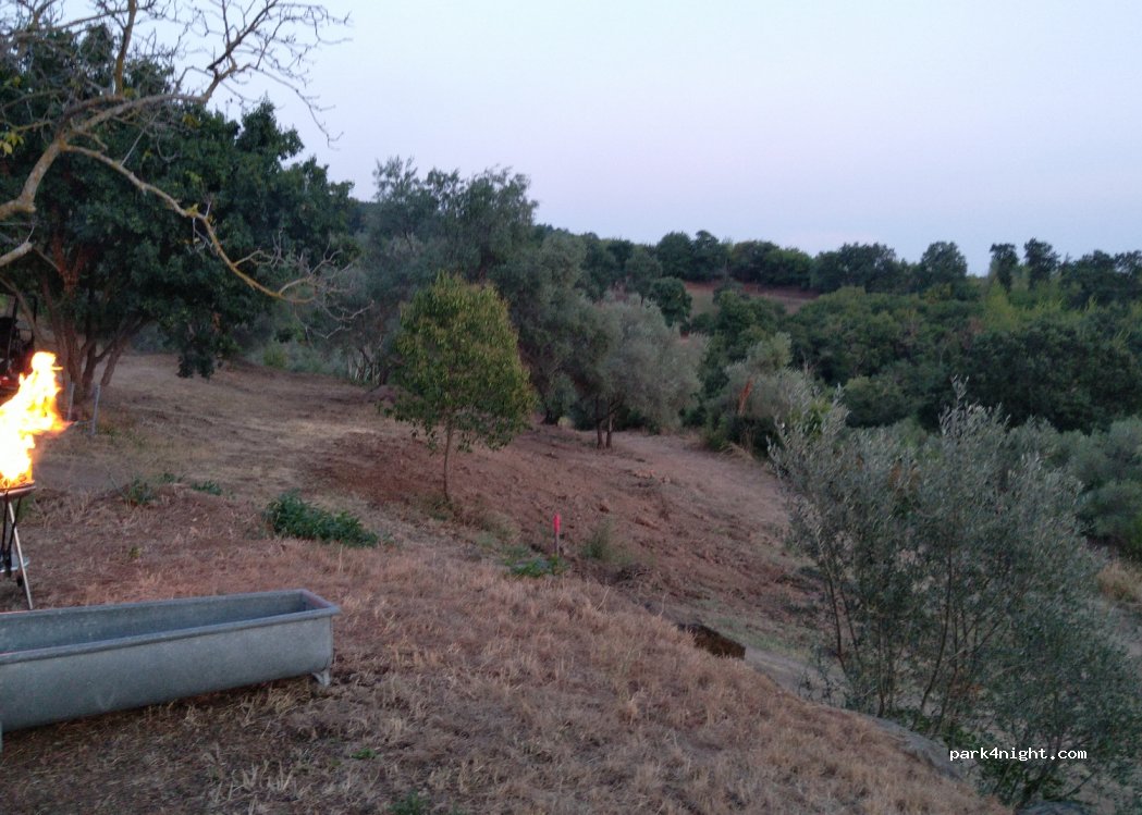 (01023) Bolsena - — foto