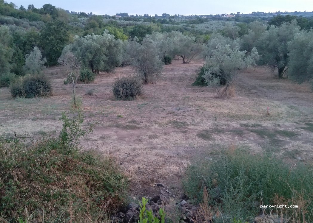 (01023) Bolsena - — foto 2
