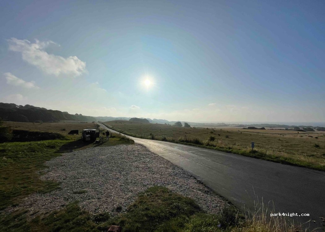 (4791) Borre - — foto 2