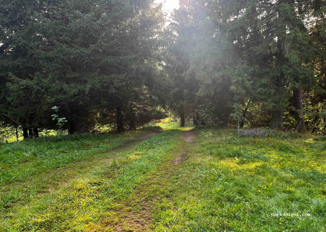 (79859) Schluchsee - Unnamed Road — foto 2