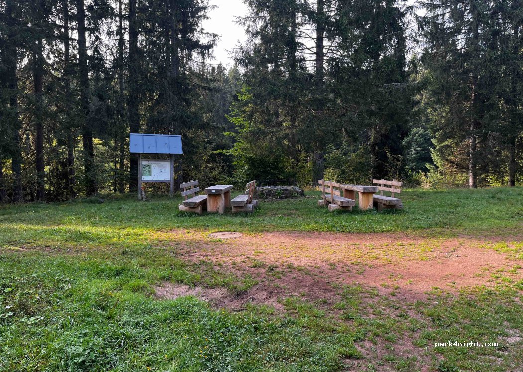 (79859) Schluchsee - Unnamed Road — foto 4