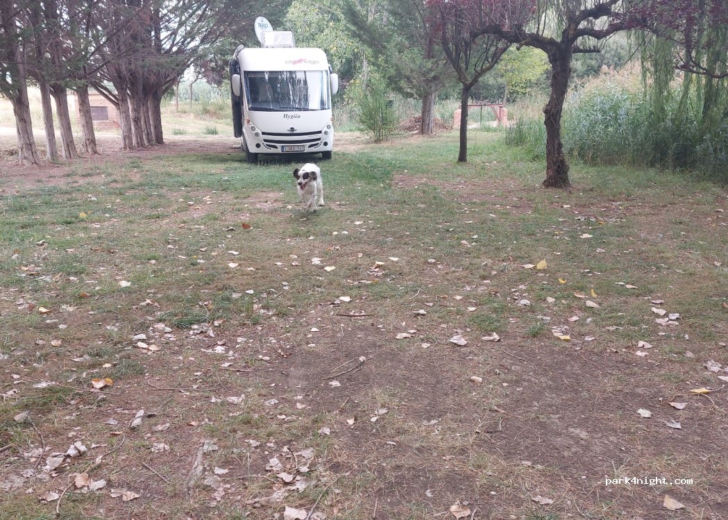 (44300) Monreal del Campo - Unnamed Road — foto 4