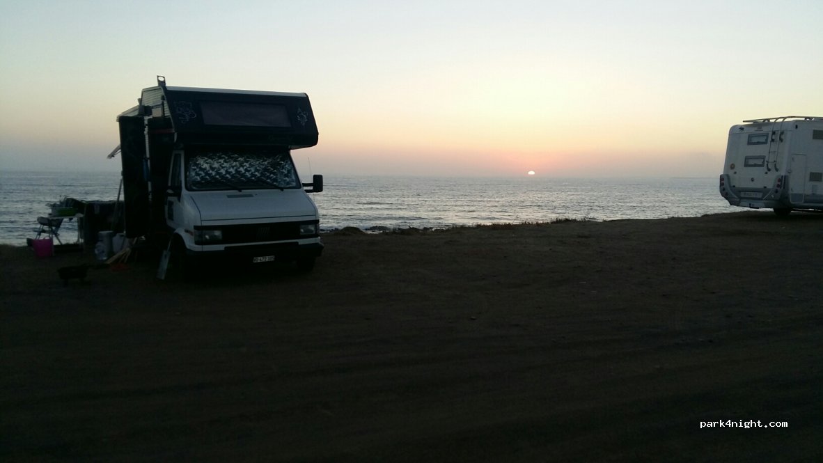 (7520) Oliveirinha - M1109 — foto 2