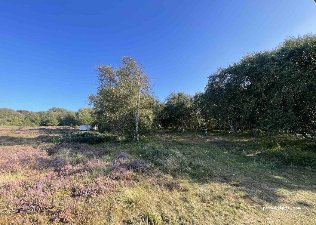 (9990) Skagen - 26 Bøjlevejen — foto