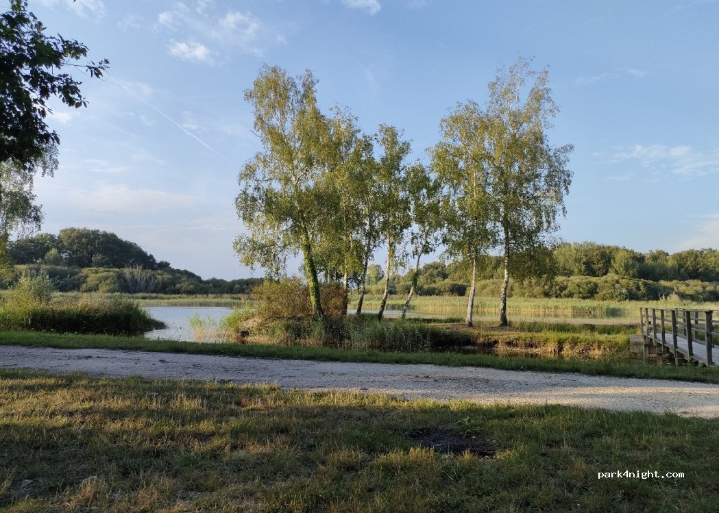 (18410) Argent-sur-Sauldre - 799 Les Foucheres — foto