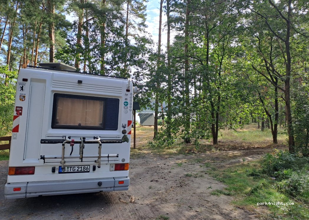 (66-620) Kosarzyn - — foto