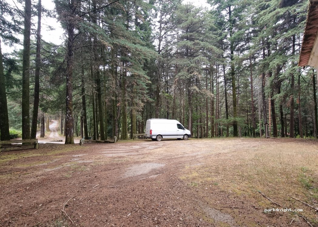 (3505) Cota - — foto