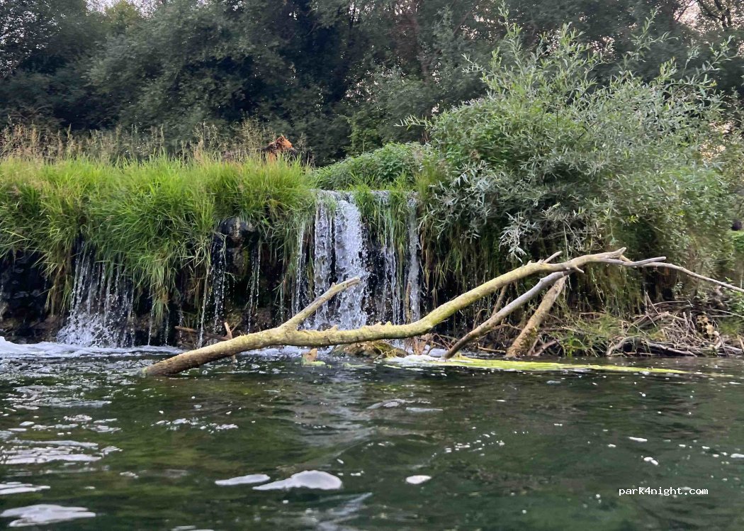 Ekološko društvo San Soul And Nature — foto