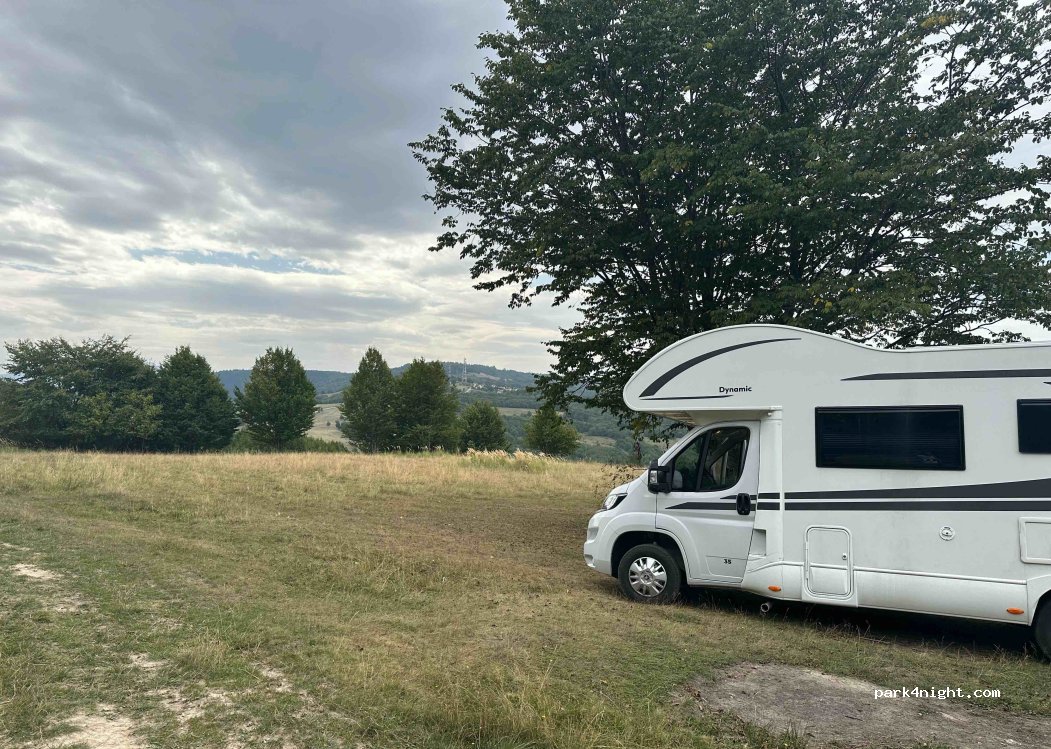 (507246) Acriș - — foto