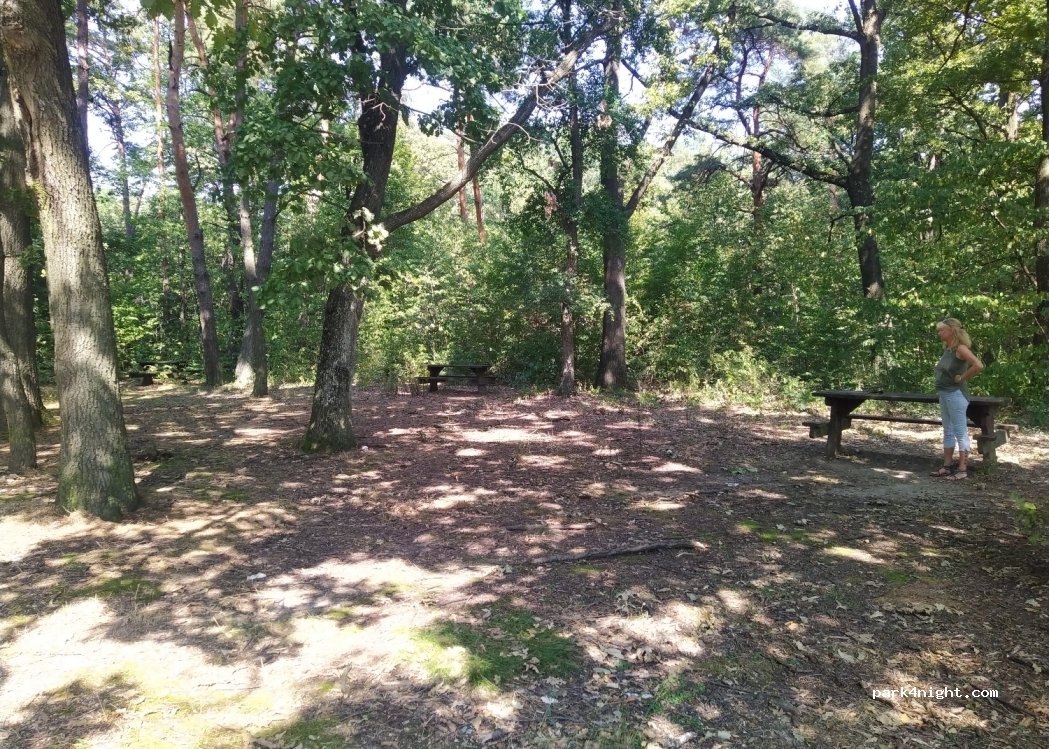 (9836) Csipkerek - — foto 2