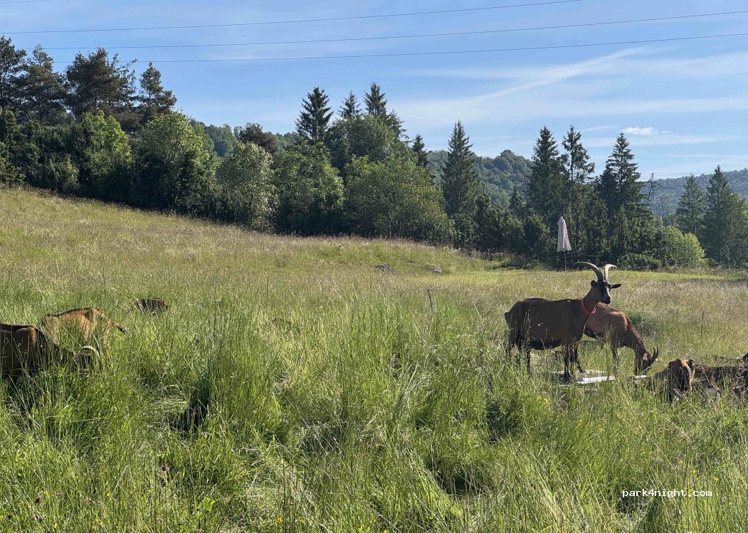 Camping à la ferme - Les Biquettes du Barrage — foto 2