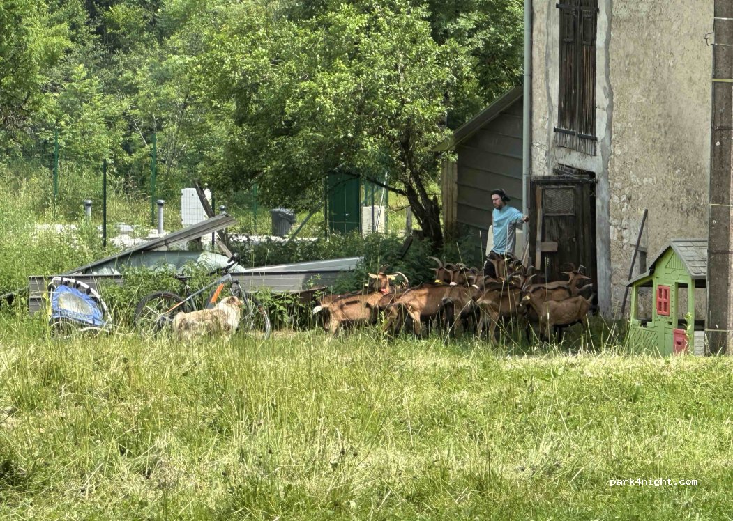 Camping à la ferme - Les Biquettes du Barrage — foto 3
