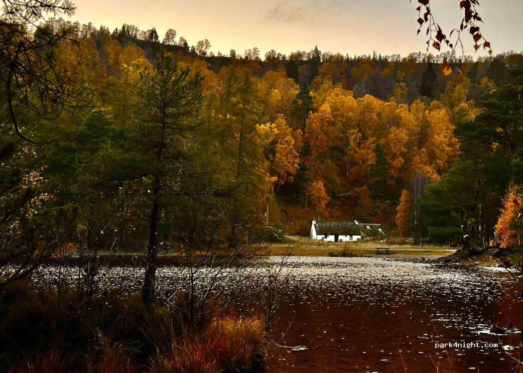 (PH22 1QP) Aviemore - Loch an Eilein — foto 5