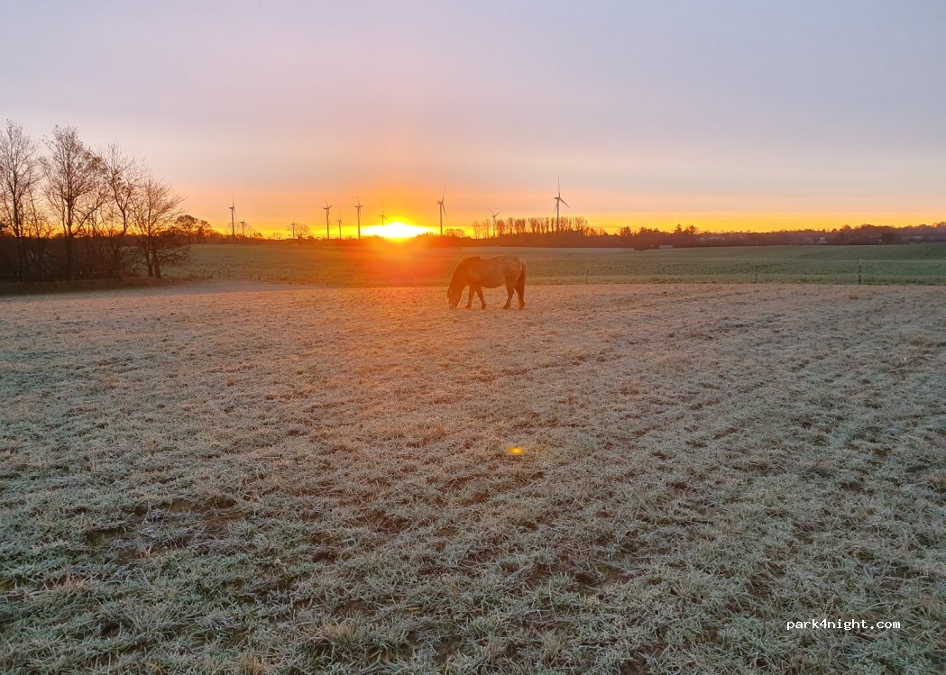 Wohnmobilwiese Hardesby-Knopp — foto 3