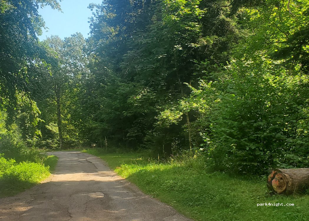 (67140) Barr - Route Forestière Kirneck — foto