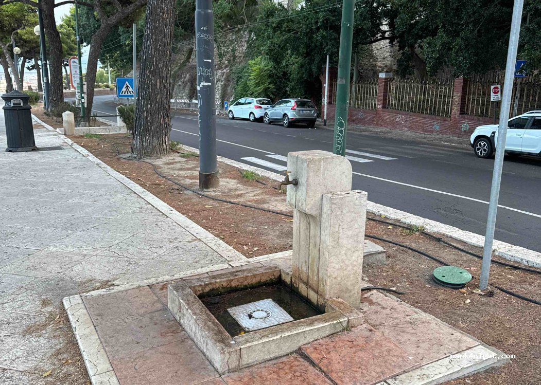(09127) Cagliari - Viale Regina Elena — foto