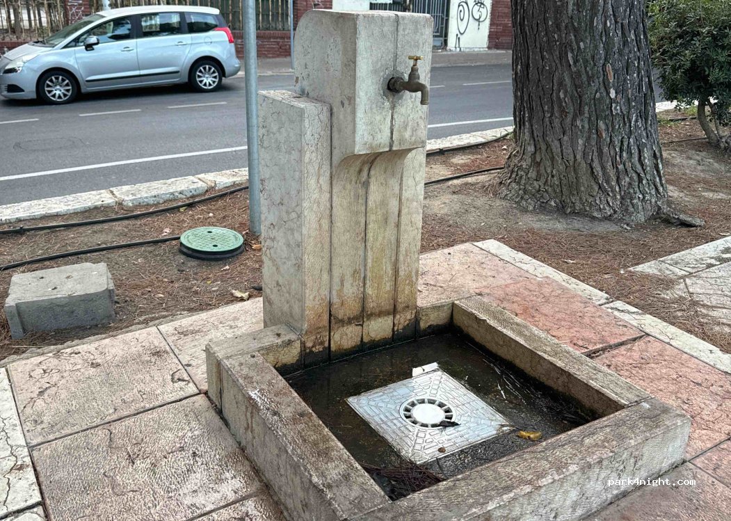 (09127) Cagliari - Viale Regina Elena — foto 3