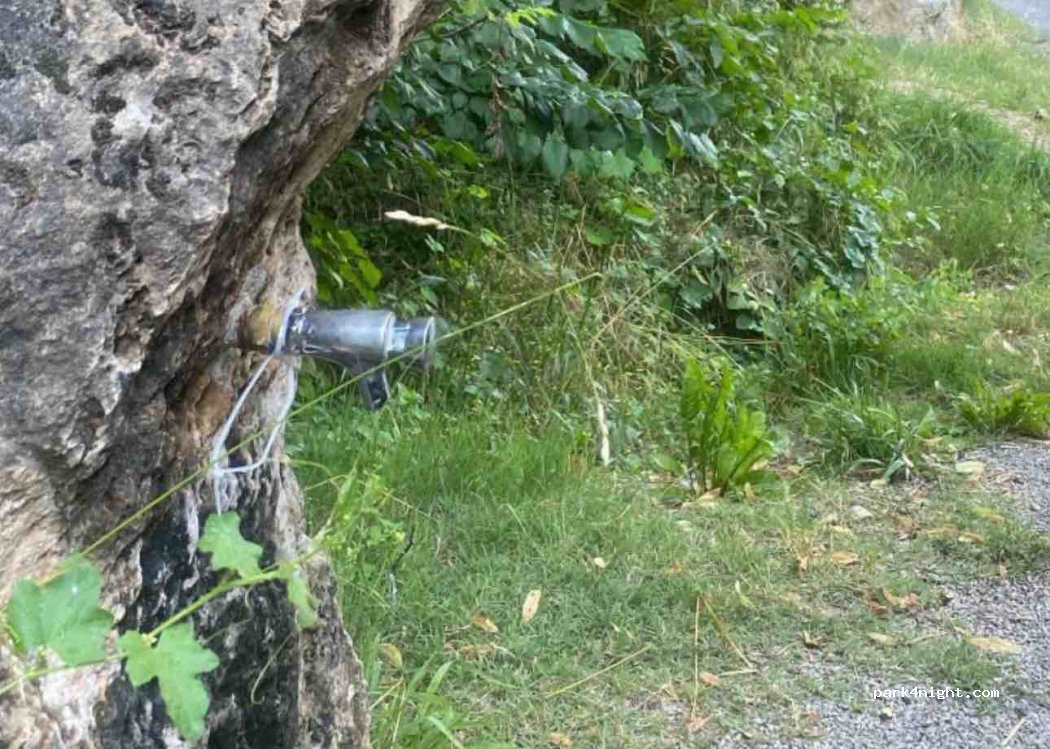 (48500) Massegros Causses Gorges - 3497 Route Departementale 907 Bis — foto