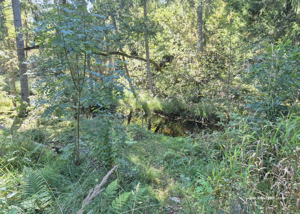 (662 97) Ånimskog - — foto