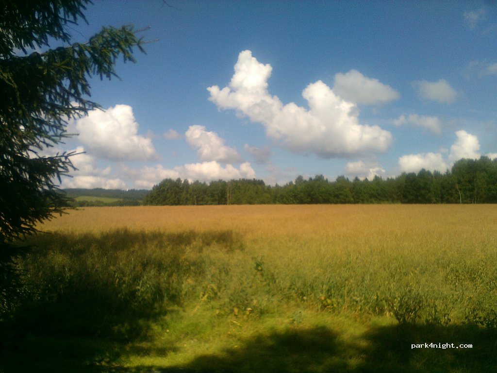 (262 42) Rožmitál pod Třemšínem - Unnamed Road — foto 2