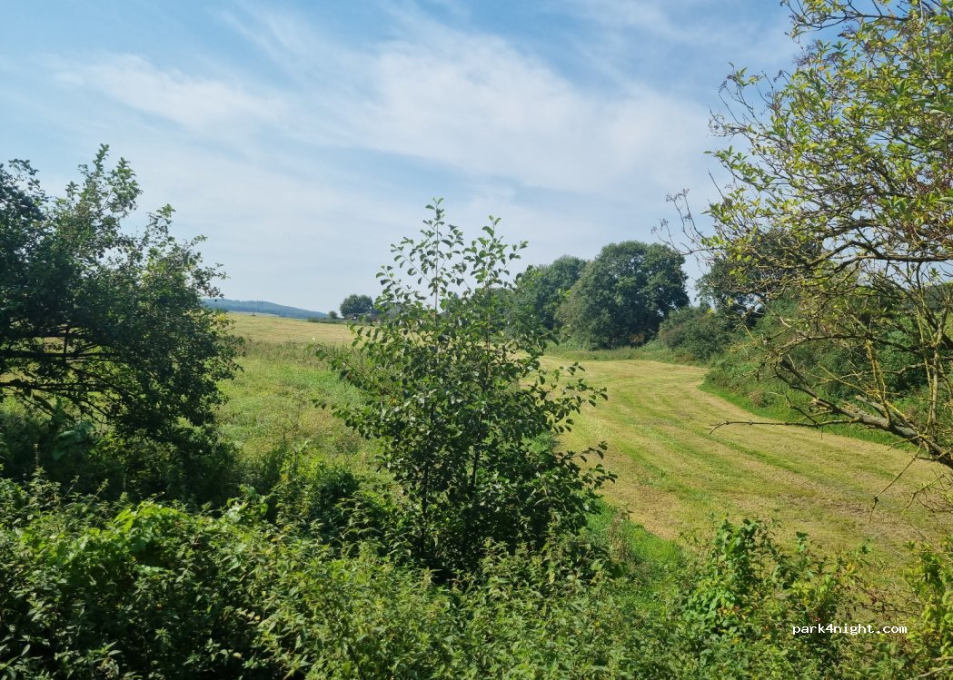 (32689) Kalletal - — foto 4