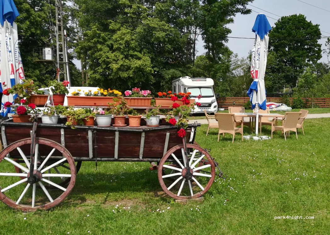 Camping Dragomirna — foto 4