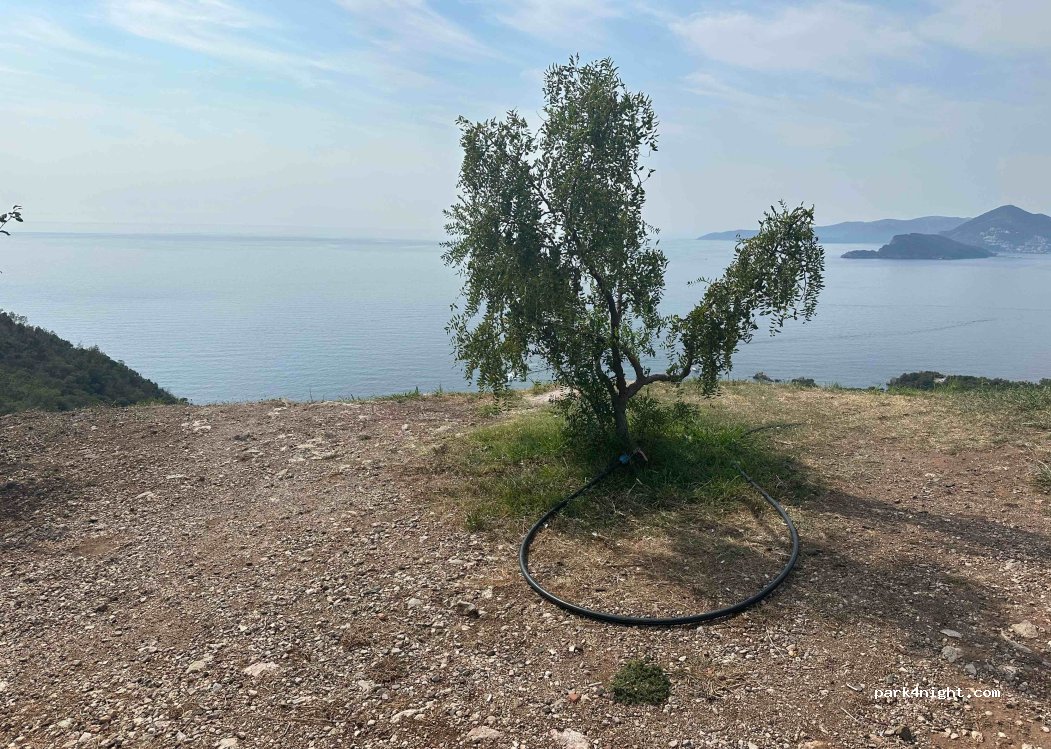 (85315) Sveti Stefan - E65 — foto