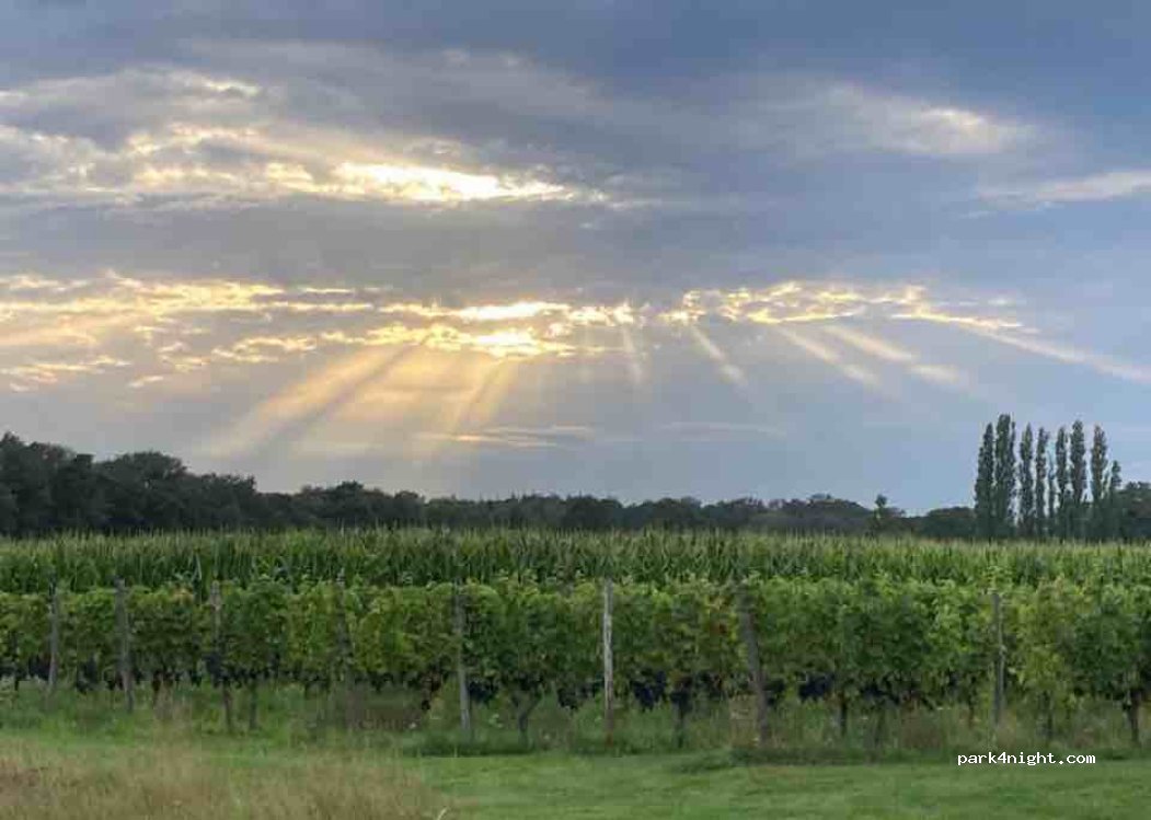 Erve Zonnehoeve — foto