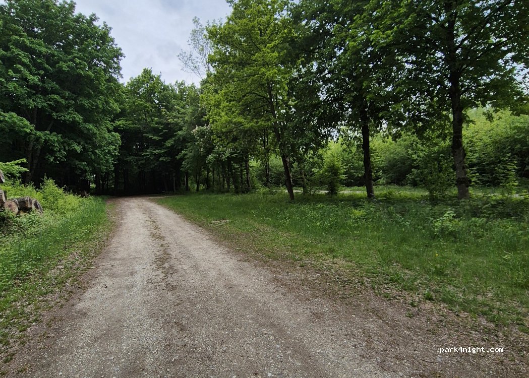 (89423) Gundelfingen an der Donau - Unnamed Road — foto