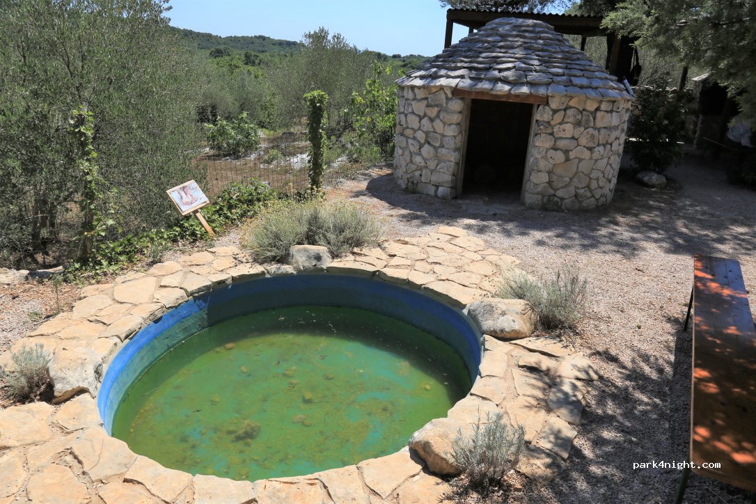 camp arboretum — foto 2