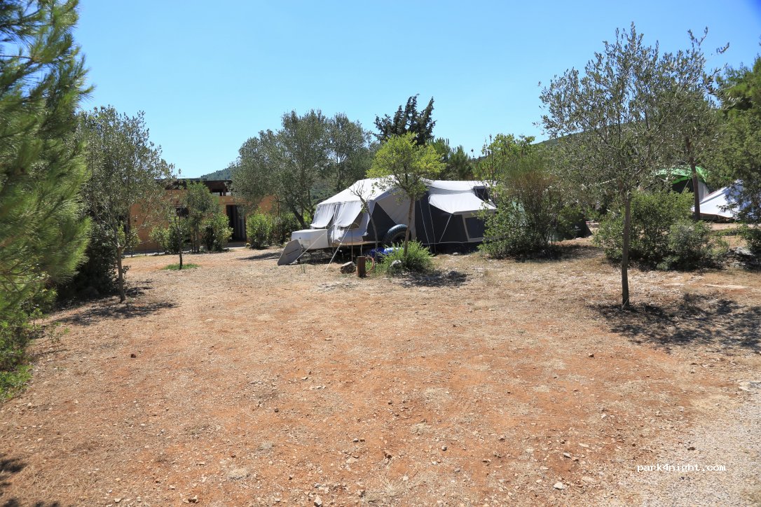 camp arboretum — foto 3
