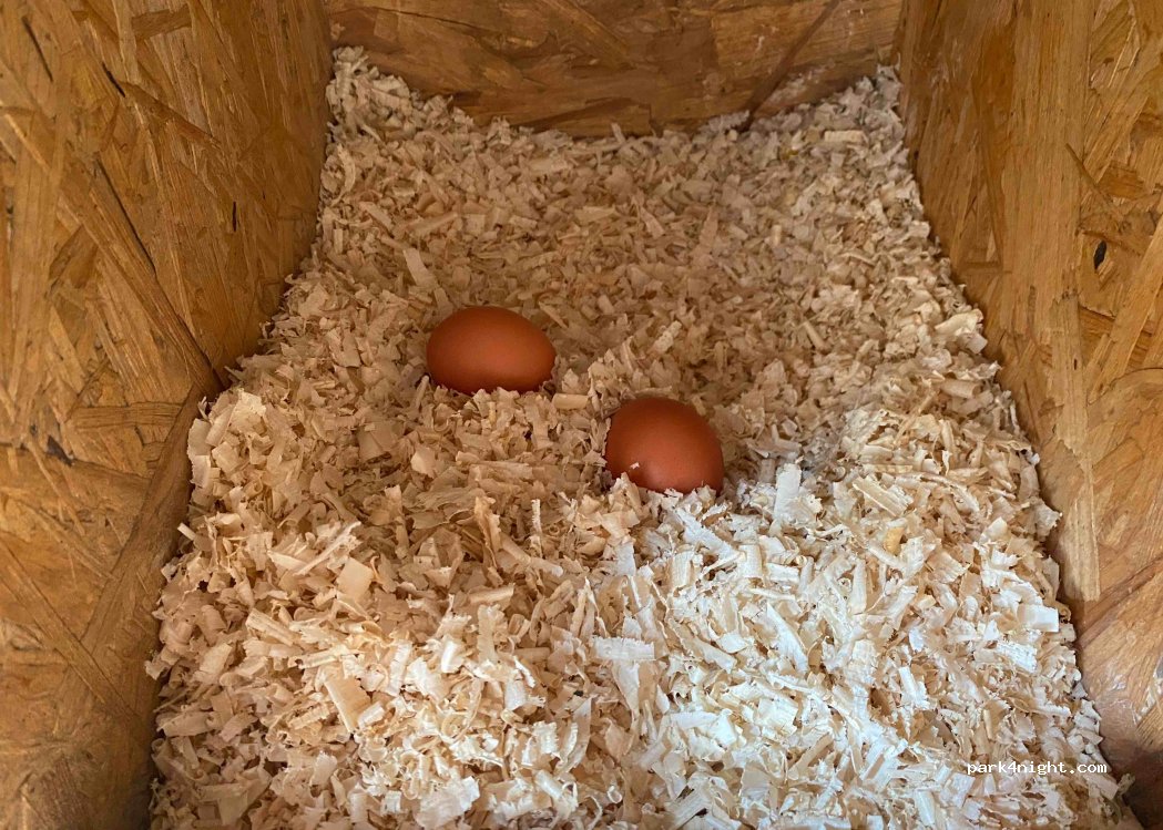 Wohnmobil Stellplatz am kleinen Pferdehof — foto 2