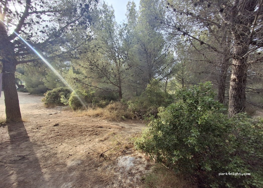 (13960) Sausset-les-Pins - 18 Avenue de Lariano — foto 3