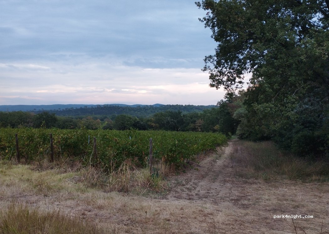 (30260) Sardan - Toupiargues — foto 2