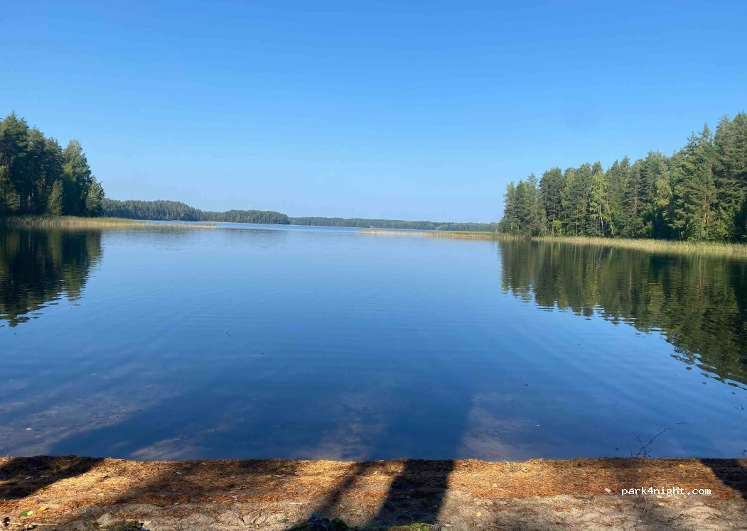 (58450) Savonlinna - 229 Punkaharjun Harjutie — foto