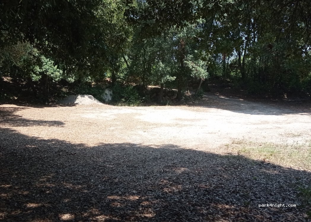 (58024) Massa Marittima - — foto