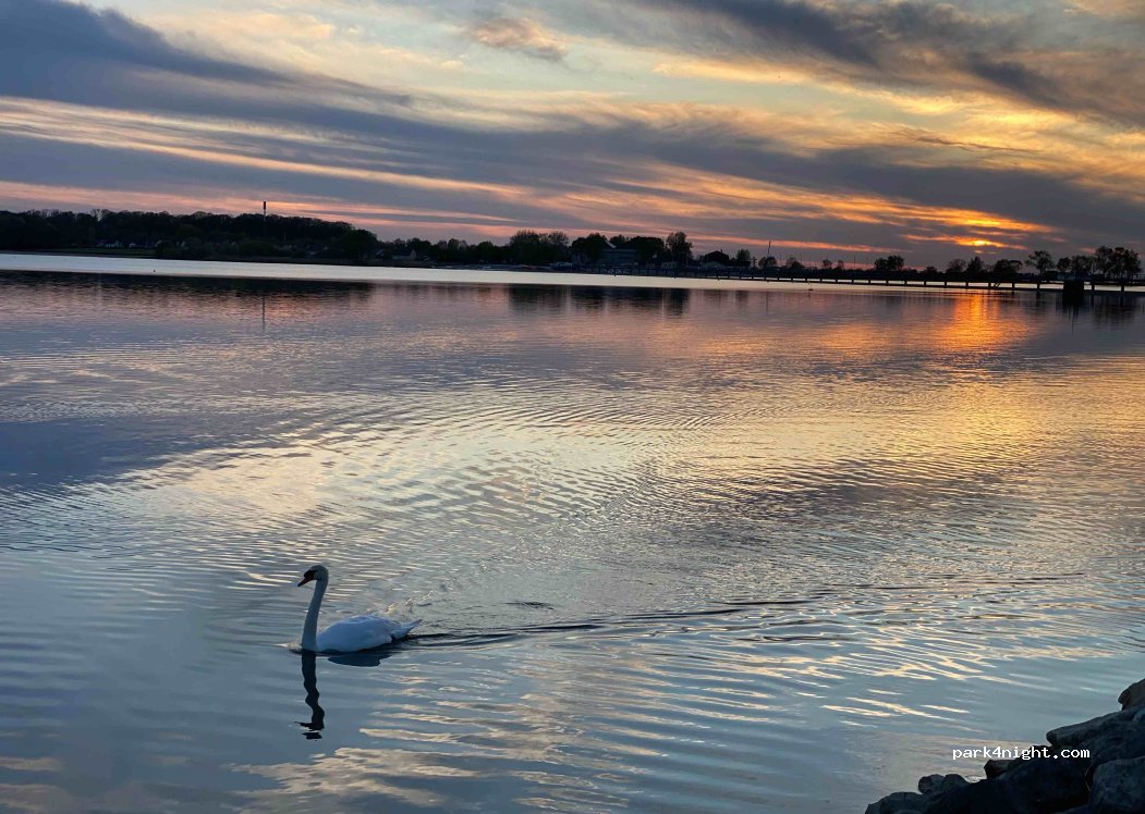 Camping de "La Presqu'île de Champaubert" — foto 4